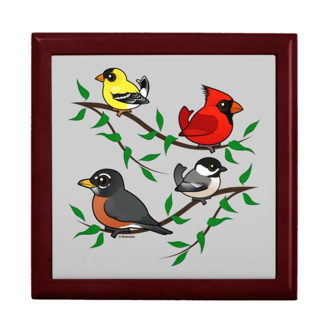 Cute Backyard Birds Gift Box (Front)