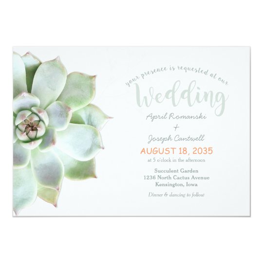 Cute Backyard Succulent Cactus Wedding Invitation Zazzle Com
