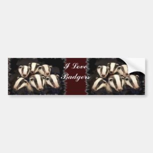 Cute Badger Cubs Bumper Sticker