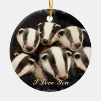 Cute Badger Cubs Ceramic Ornament by Rosemariesw at Zazzle