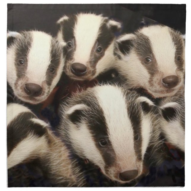 Cute Badger Cubs Napkin (Front)