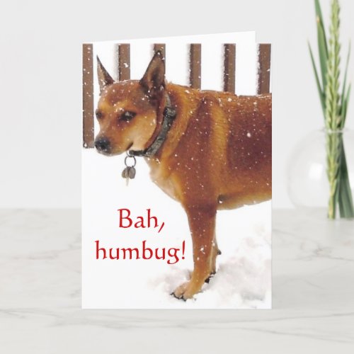 Cute Bah Humbug Grumpy Red Cattle Dog Diva Holiday Card
