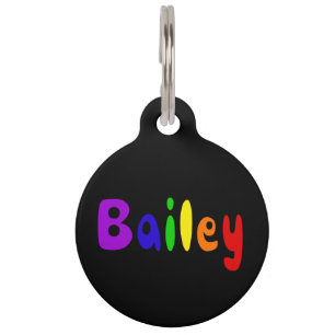 Cute Bailey Pet Name Rainbow Graffiti Letters ID Tag