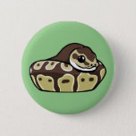 Cute Ball Python Pet Snake Drawing Badge Button at Zazzle