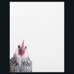 Cute Bantam Cochin Hen Photo Letterhead Paper<br><div class="desc">Have some fun with your notes by writing them on these cute bantam Cochin hen letterhead paper.</div>