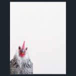 Cute Bantam Cochin Hen Photo Letterhead Paper<br><div class="desc">Have some fun with your notes by writing them on these cute bantam Cochin hen letterhead paper.</div>