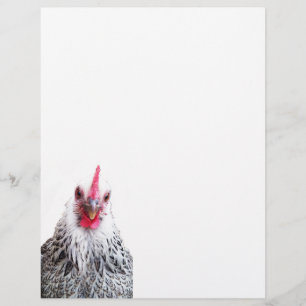 Cute Bantam Cochin Hen Photo Letterhead Paper