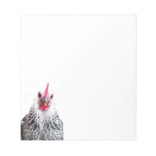 Cute Bantam Cochin Hen Photo Notepads