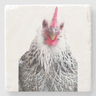 Cute Bantam Cochin Hen Photo Stone Coaster
