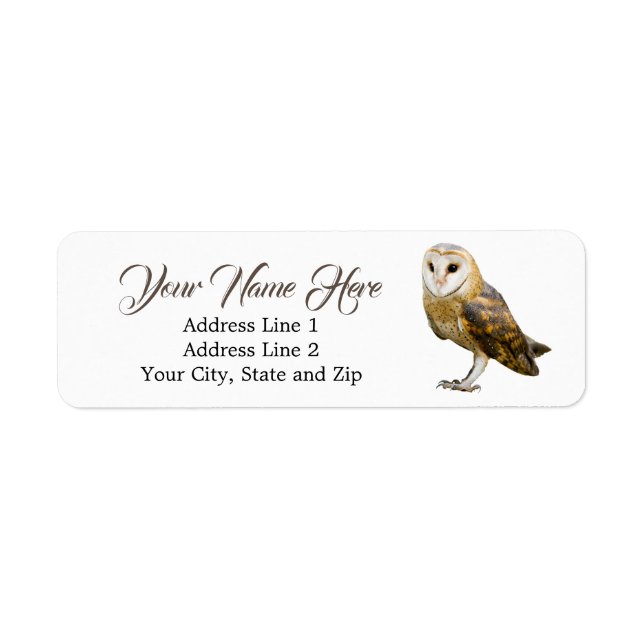 Cute Barn Owl Return Address Label (Front)