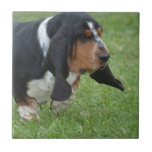 Cute Basset Hound Ceramic Tile