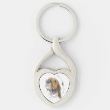 Cute Basset Hound Close Up Love