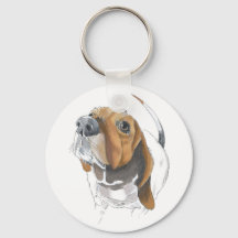 Cute Basset Hound Lovers Close Up