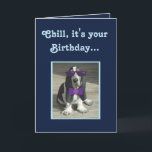 Cute Basset Hound on Funny Birthday Card<br><div class="desc">Funny Birthday Card w/Cute Basset Hound and Cupcake</div>