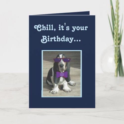 Cute Basset Hound on Funny Birthday Card