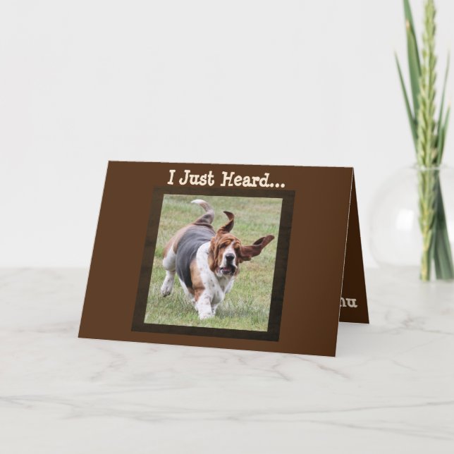 Cute Basset Hound on Funny Birthday Card with Cake (Front)