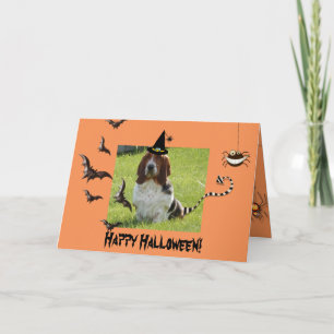 Cute Basset Hound on Funny Halloween card