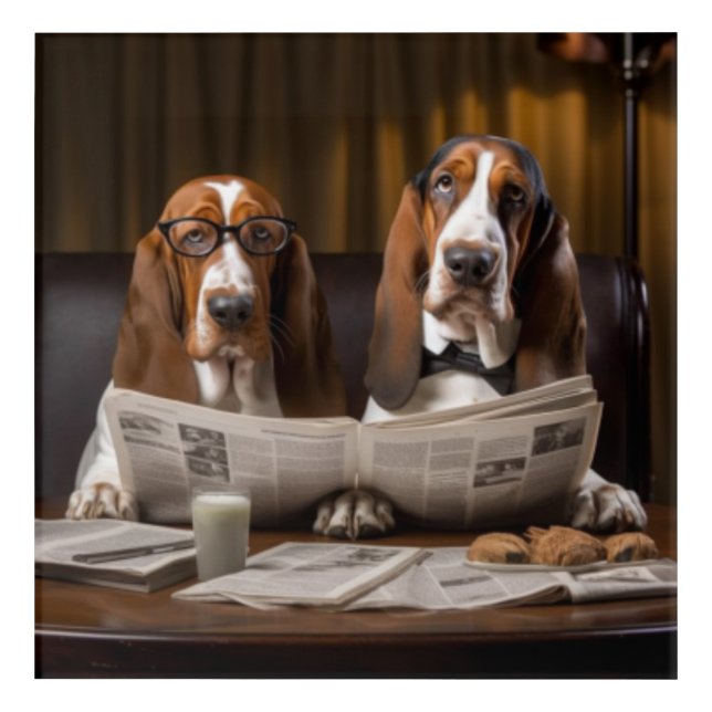 Cute basset hounds reading newspaper acrylic print (Front)