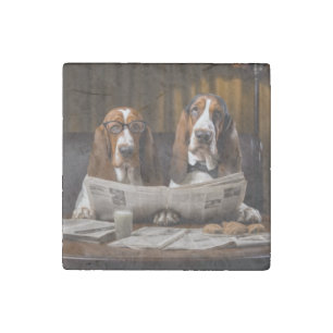 Cute basset hounds reading newspaper stone magnet