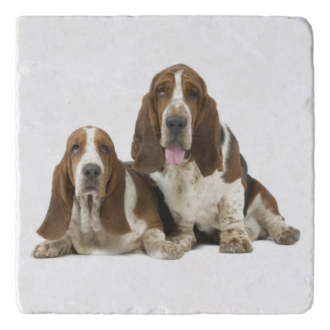 Cute Basset hounds Trivet (Front)