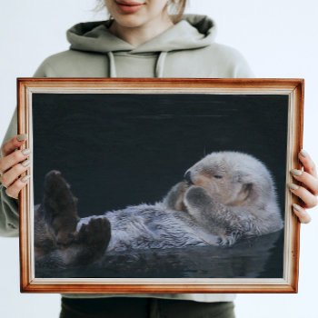 Cute Bathing Sea Otter Glossy Photographic Poster by northwestphotos at Zazzle