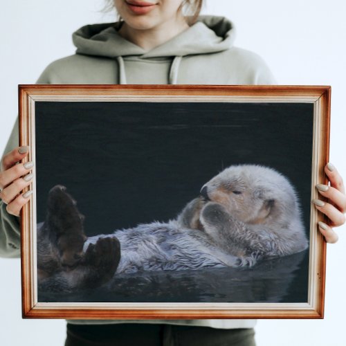 Cute Bathing Sea Otter Glossy Photographic Poster