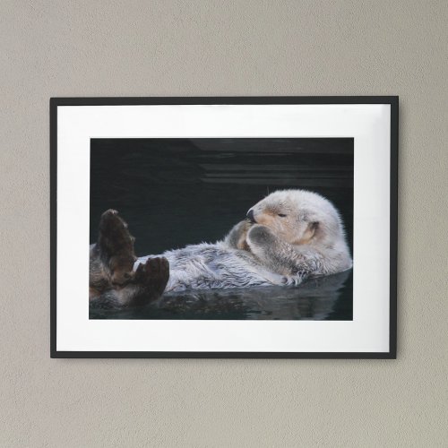 Cute Bathing Sea Otter Photographic Poster