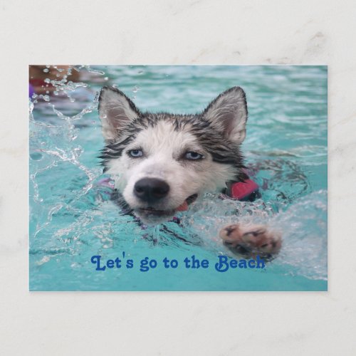 Cute Beach Dog greetings Postcard