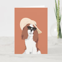 Cute Beach Vacation Cavalier King Charles Spaniel