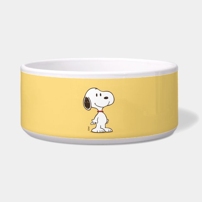 Cute Beagle Cartoon Character Illustration Bowl (Front)