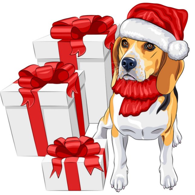 Cute Beagle Christmas Postcard (Festive Dog with Santa Claus Hat and Gift Boxes Post Card!)