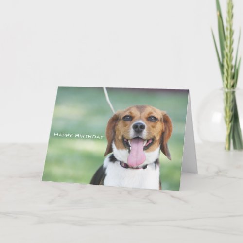 Cute Beagle Dog Card