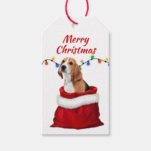 Cute Beagle Dog in Santa Bag Gift Tags