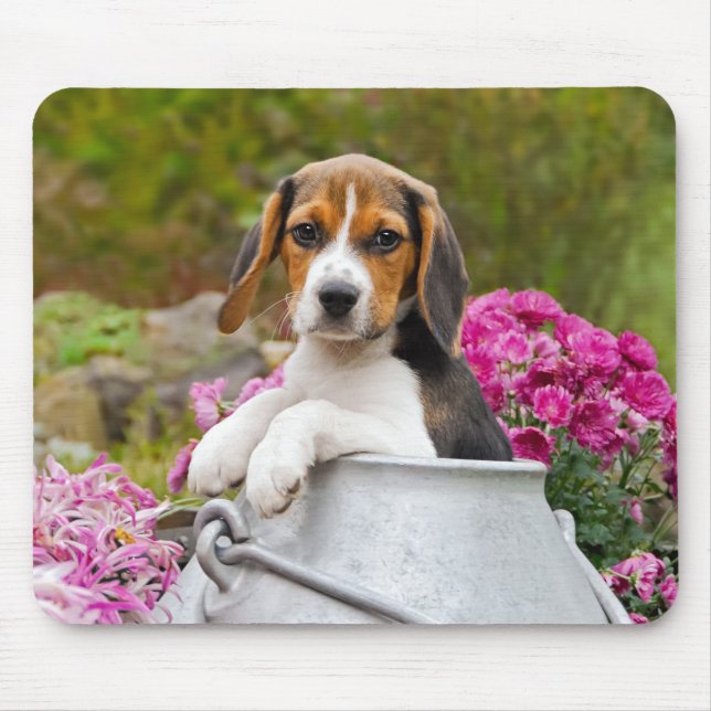 Cute Beagle Dog Puppy in a Milk Churn - Mouse Pad (Front)