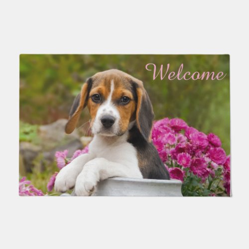 Cute Beagle Dog Puppy in Milk Churn  Entry Welcome Doormat