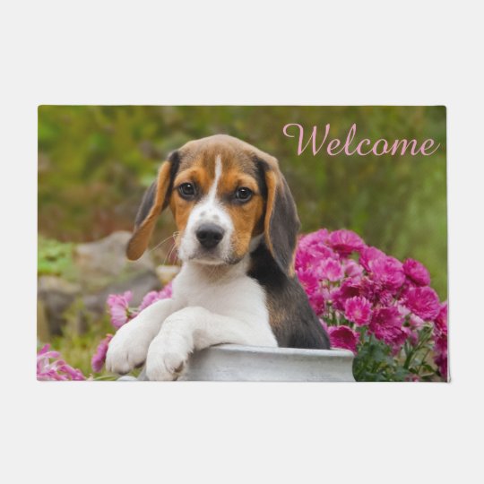 Cute Beagle Dog Puppy in Milk Churn Entry Doormat