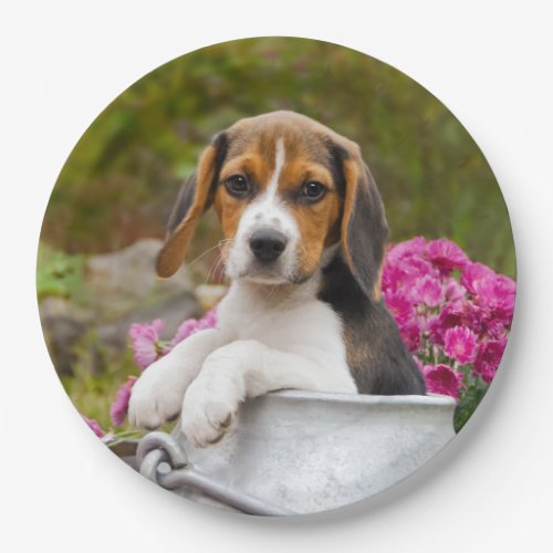 Cute  Beagle Dog Puppy in Milk Churn  Happy Party Paper Plates