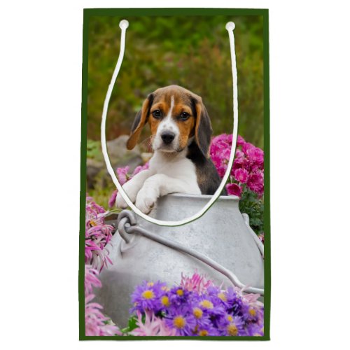 Cute Beagle Dog Puppy in Milk Churn with Flowers _ Small Gift Bag