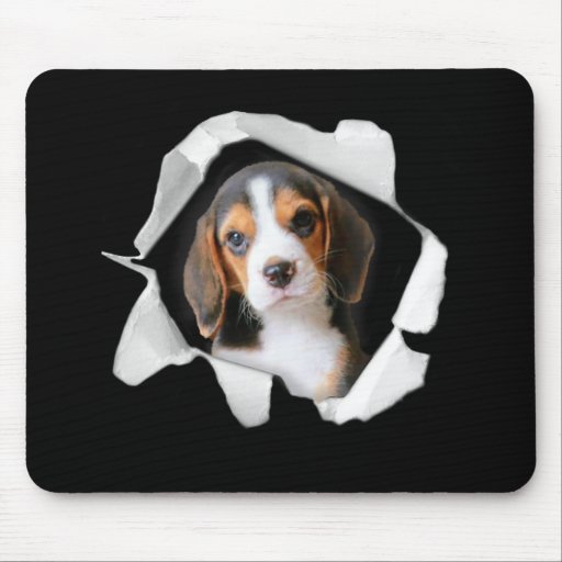 Cute Beagle Dog Puppy Lover/ Funny Beagle   Mouse Pad