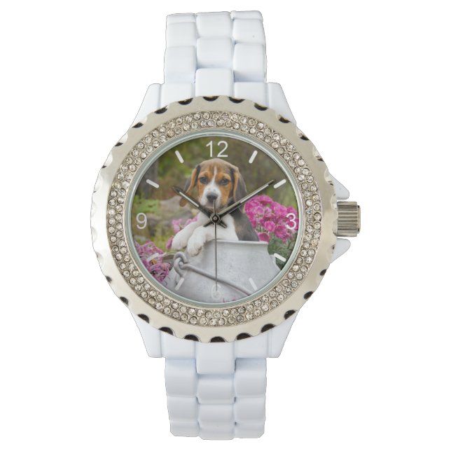 Cute Beagle Dog Puppy Milk Churn women dial-plate Watch (Front)