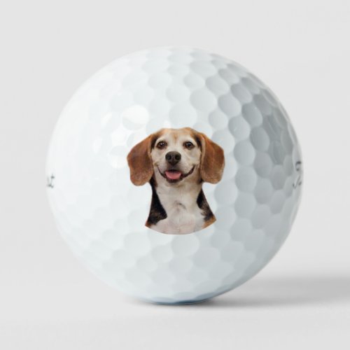 Cute Beagle Dog with Smile Golf Balls