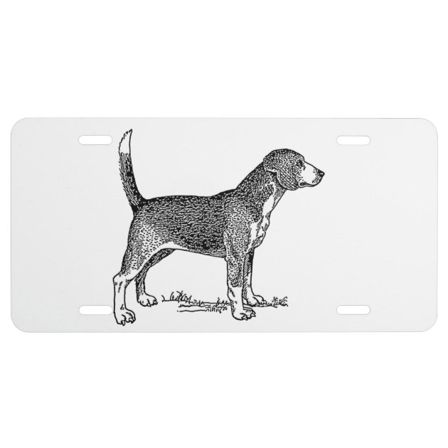 beagle license plate