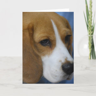 Cute Beagle Greeting Cards
