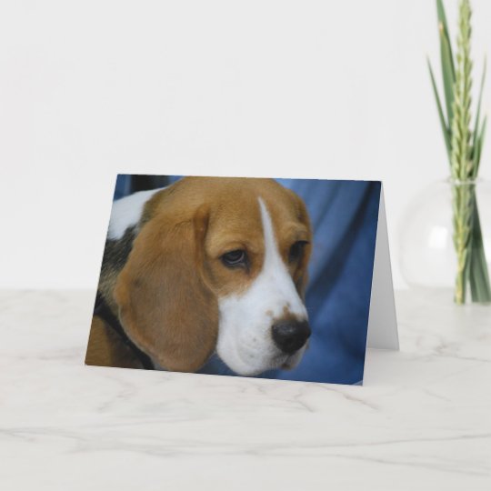 Cute Beagle Greeting Cards | Zazzle.com