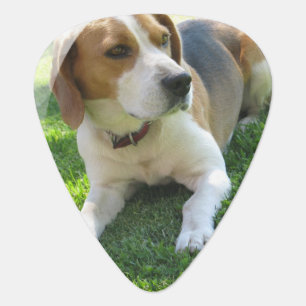 Cute Beagle Guitar Pick