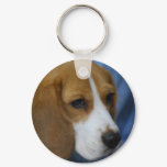 Cute Beagle  Keychain