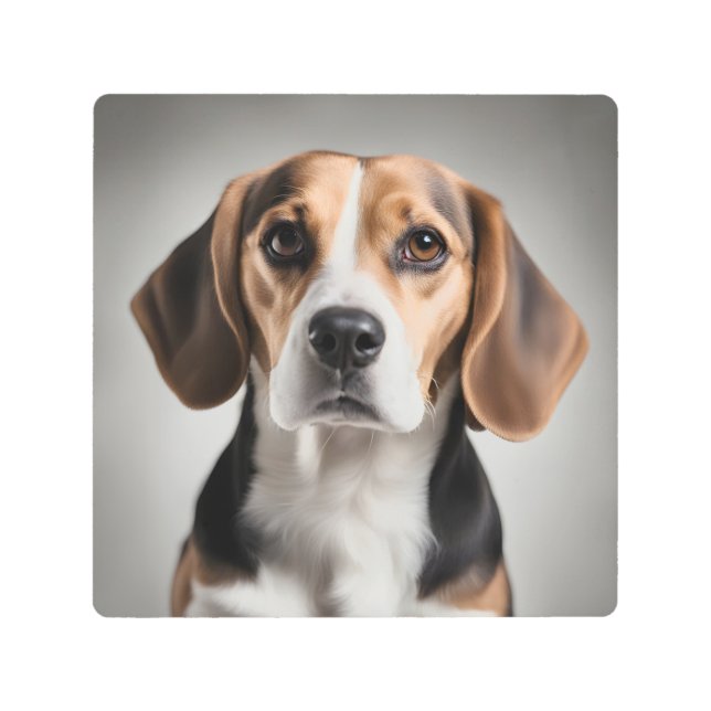 Cute Beagle Metal Print (Front)