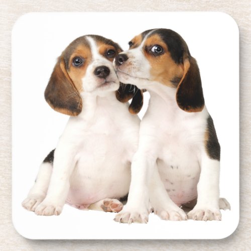 Cute Beagle Mom Dog Lover Puppy Dad Pup Adoption Beverage Coaster