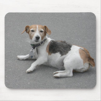 Cute Beagle Mongrel Mouse Pad