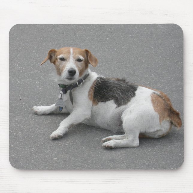 Cute Beagle Mongrel Mouse Pad (Front)